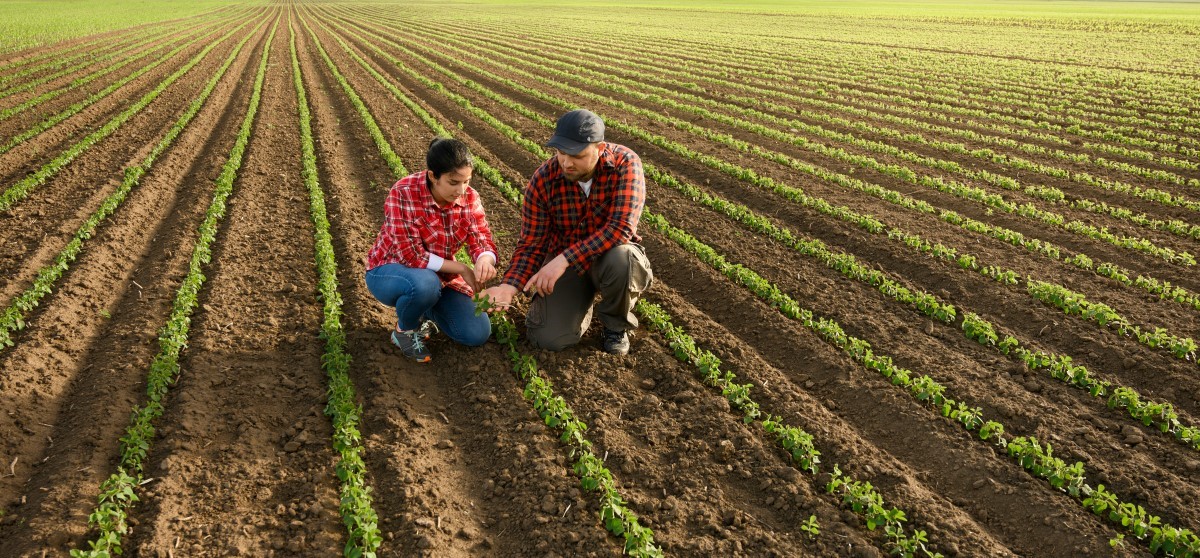 Crédit Agricole